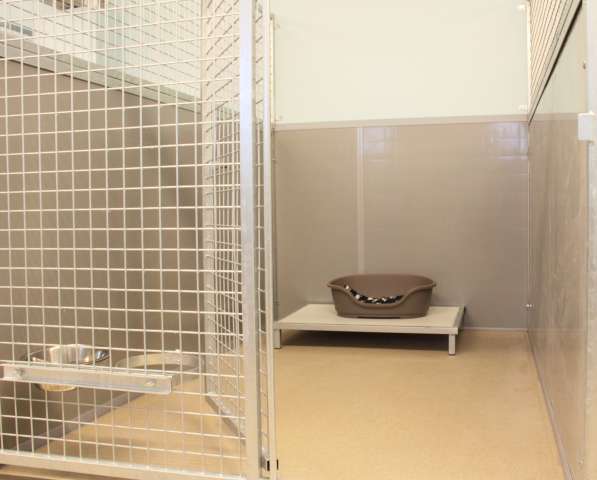 binnen kennel